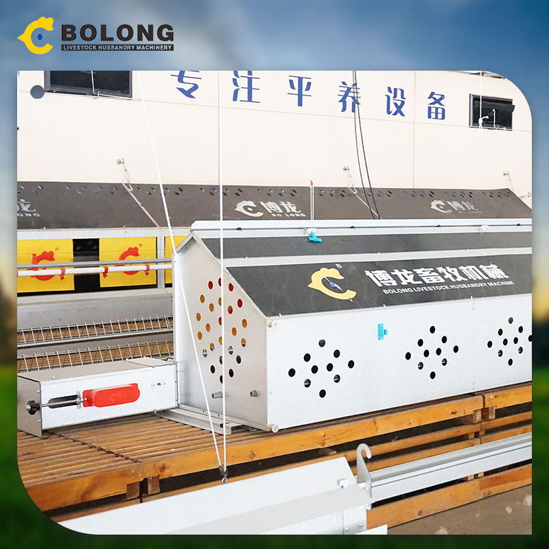 <h3>Automatic Egg Collection System | Egg Collection Equipment </h3>
